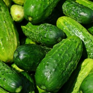 cucumbers, vegetables, green-849269.jpg