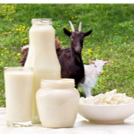 Goat Milk / बकरी का दूध