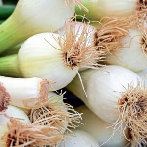 onion, spring onion, early onion-1415814.jpg