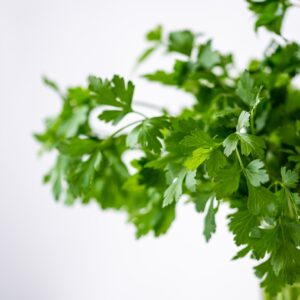 parsely, green, healthy-4688651.jpg